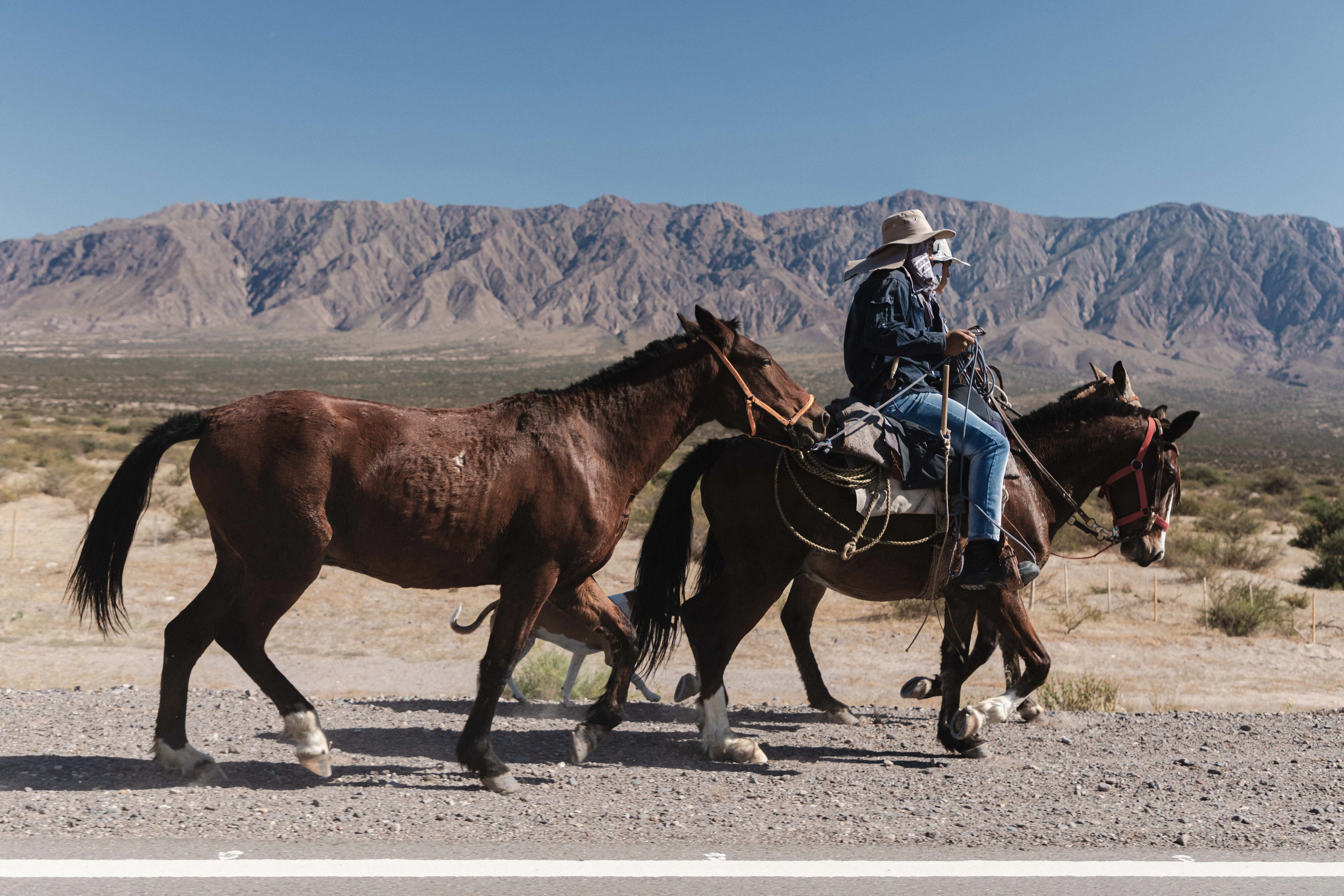 Attraction — 1/2 — Romain Berthiot