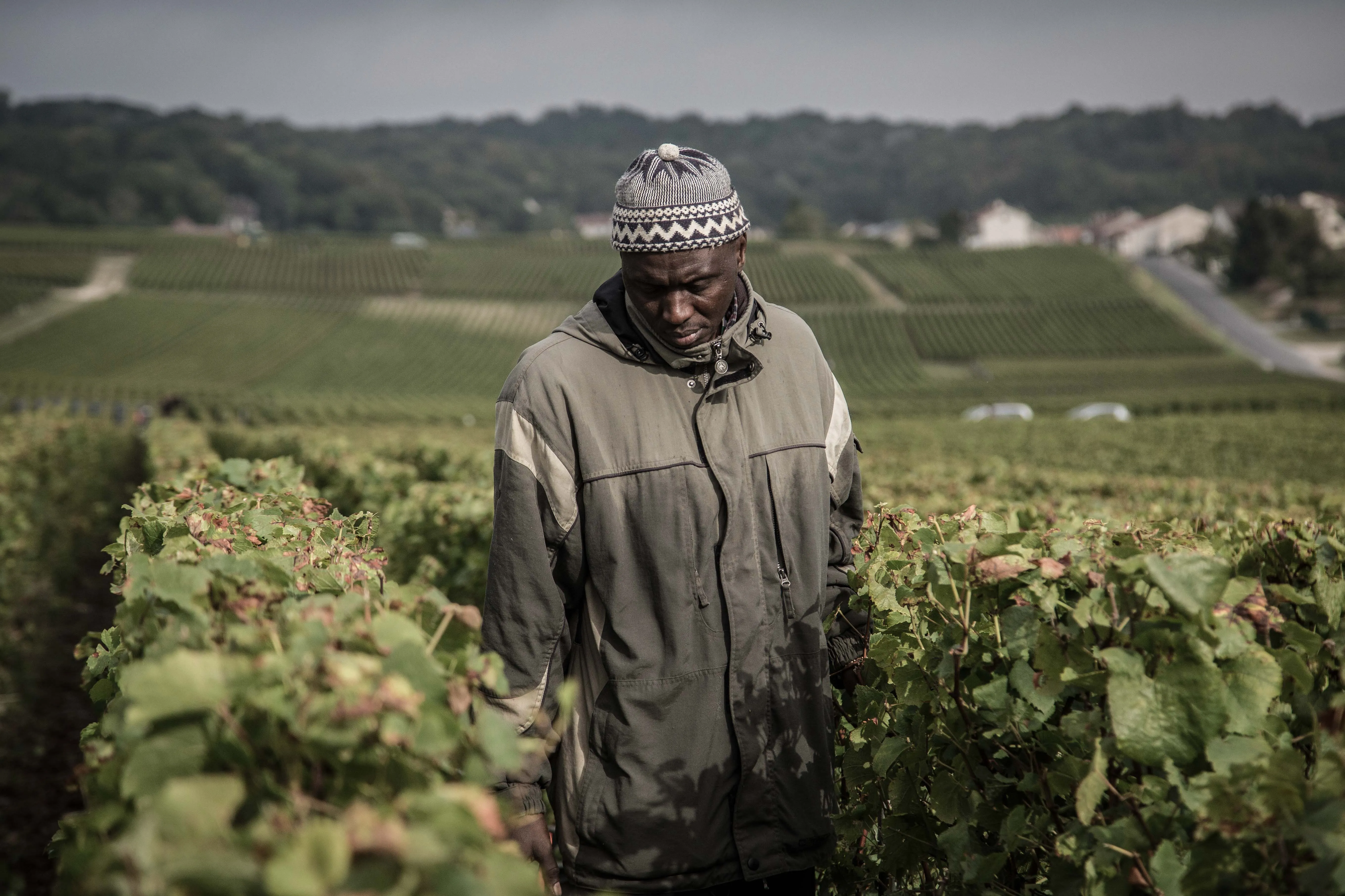 Réflexion — 80 × 54 cm — Romain Berthiot