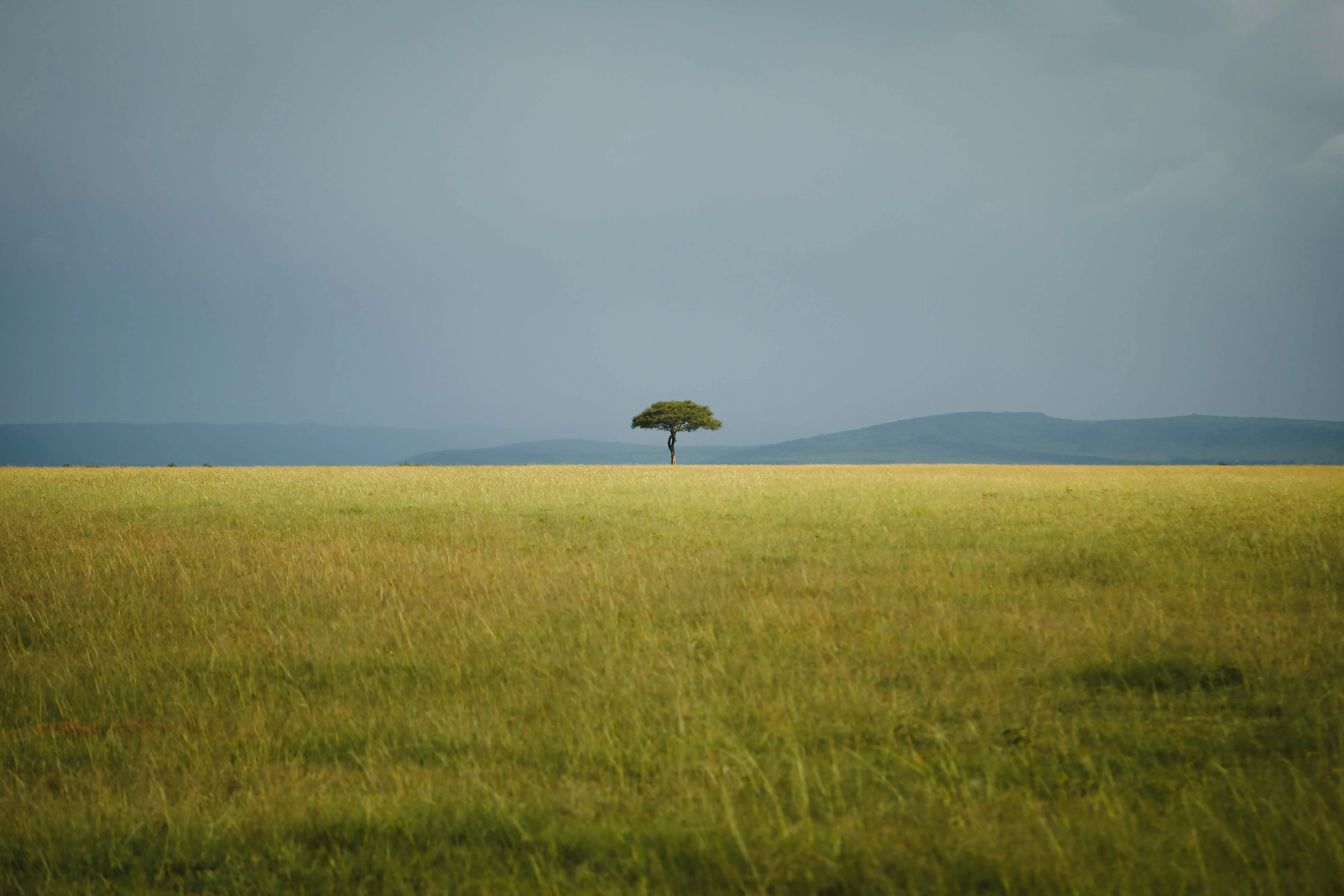 Observation — 2/2 — Romain Berthiot